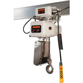 Food Grade Hoist with Motorized Trolley 1/2 Ton Capacity, 460V