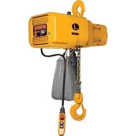 NER Dual Speed Electric Hoist - 2-1/2 Ton, 20' Lift, 22/3.5 ft/min, 208V