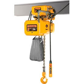 NER Electric Hoist w/ Motor Trolley - 1 Ton, 15' Lift, 14 ft/min, 230V