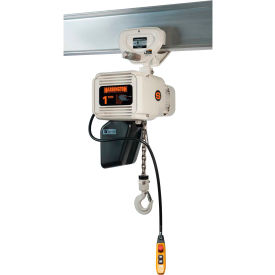 NERP020L-FG-10 Food Grade Hoist with Push Trolley 2 Ton Capacity, 208V