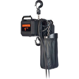 1/2 Ton Electric Theatrical Chain Hoist, 60' Lift, 16 FPM, 230V