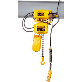 Electric Hoist w/ Motor Trolley - 1/4 Ton, 20' Lift, 14 ft/min, 230V