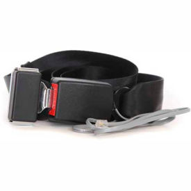 Proactive Medical Buckle Seat Belt Sensor