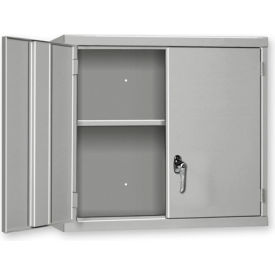 Wall Mount Cabinet, 30"W x 14"D x 27"H, All-Welded, Gray