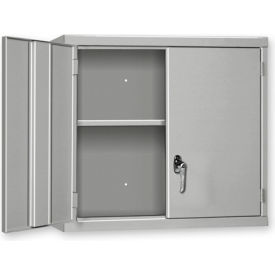 Wall Mount Cabinet, 30"W x 14"D x 27"H, All-Welded, Blue