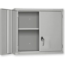 Wall Mount Cabinet, 36"W x 14"D x 27"H, All-Welded, Blue