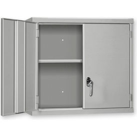 Wall Mount Cabinet, 48"W x 14"D x 27"H, All-Welded, Blue