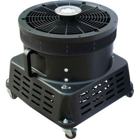 Sky Dancer Blower With LED Lights, 2 Speed, 1 HP, 5800 CFM