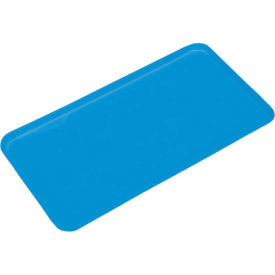 Market Tray 13" x 18", Blue