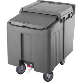 Ice Caddies, Granite Gray, 125 Lbs. Cap., 2 Swivel, 2 Locking