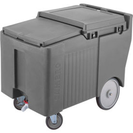 Ice Caddy, Gray, 125 Lbs. Cap, Short, 2 Swivel, 1 w/Brake, 2, 10" Easy Wheels