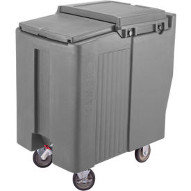 Ice Caddy, Granite Gray, 125 Lbs. Cap., Tall