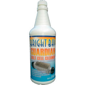 Salt Cell Cleaner, 32 oz. Bottle 1/Case - P3032