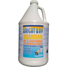 Guardian DE & Cartridge Filter, Cleaner 1 Gallon Bottle - 1/Case