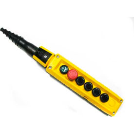 MIKE Pendant, 6 Button, Yellow, 2-Speed Buttons
