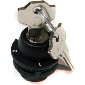 1/2 Maint. Pos. Change Over Keyed Selector Switch, Use w/ MIKE & VICTOR Pendants