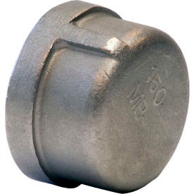 1/2 In. 304 Stainless Steel Cap - FNPT - Class 150 - 300 PSI