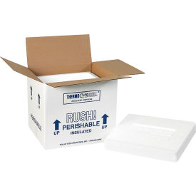 Foam Insulated Shipping Kits, 10-1/2"L x 8-1/4"W x 9-1/4"H, White, 2/Pack
