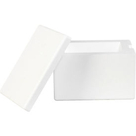 Insulated Foam Containers, 8"L x 6"W x 4-1/4"H, White, 12/Pack