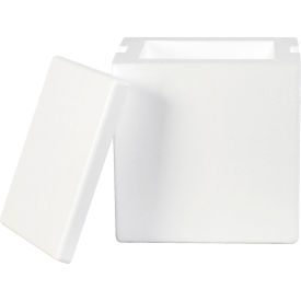 Insulated Foam Containers, 8"L x 6"W x 9"H, White, 8/Pack