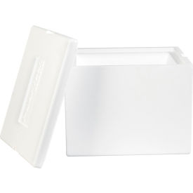 Insulated Foam Containers, 12"L x 10"W x 9"H, White, 1 Pack