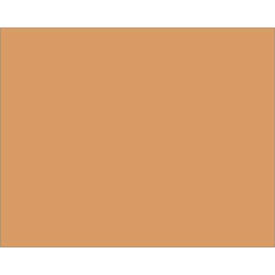 Rectangular Block Out Paper Labels, 10"L x 8"W, Kraft, Roll of 250