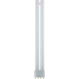 24 Watt FT 4-Pin Twin Tube 2G11 Base, Warm White