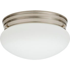 LED Mushroom, 16.5W, 3000 CCT, Brushed Nickel