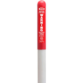 Round Dome Utility Electric Marker, White Pole 72"H, 48" Above Ground, Red