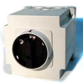 Reversing Switch, Spring-Return Lockable Handle, 40A, 3-POLE, Encl.