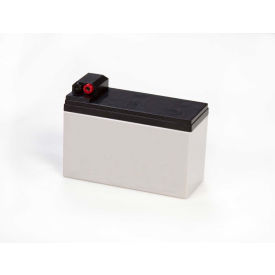 Port-A-Weigh Rechargeable Battery