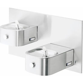 Elkay 2 Station Wall Mount Drinking Fountain w/ Cane Apron, ADA Compliant, Stainless Steel