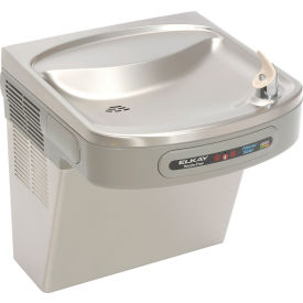Elkay ADA Hands-Free Filtered Drinking Fountain, Stainless Steel, 115V, 60Hz