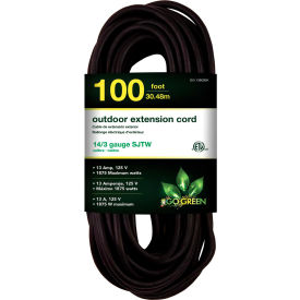 100 Ft Extension Cord - Black