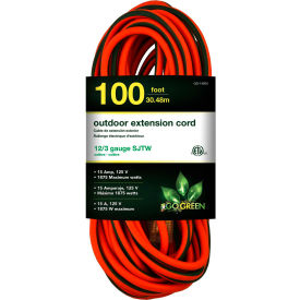 100 Ft Extension Cord - Orange/Green