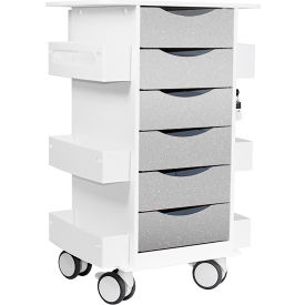 Core Locking 6 Drawer Lab Cart, 23"W x 19"D x 35"H, Silver Metallic