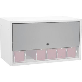 Retractable Locking Panel Only For Cubbie File Rack, Light Gray