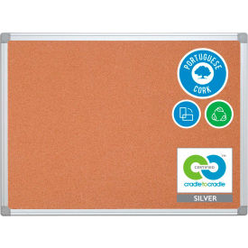 Earth Cork Bulletin Board, 36" X 48", Aluminum Frame