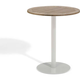 Travira 36" Outdoor Bar Table - Tekwood Vintage