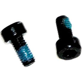Polisher Screw, M5 x 10, 2 Pkg Qty