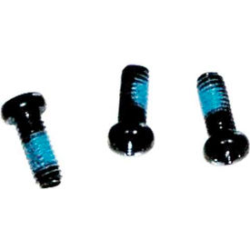 Polisher Pan Head Screw, M4 x 10, 3 Pkg Qty