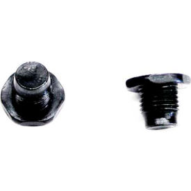 06654 Hex Head Plug Bolt, 2 Pkg Qty