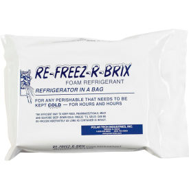 Cold Bricks, 28 Oz., 7"L x 5"W x 1-1/2"H, White/Blue, 12/Pack