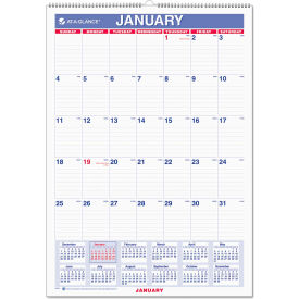 Monthly Wall Calendar with Ruled Daily Blocks, 12 x 17, Jan to Dec, 2025