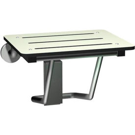 Compact Folding Shower Seat