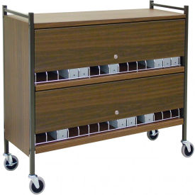 Large Vertical Cabinet Chart Rack with Locking Panel, 45 Binder Capacity, Woodgrain