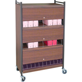 Standard Vertical Cabinet Chart Rack with Locking Panel, 24 Binder Capacity, Woodgrain