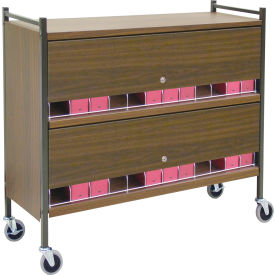 Large Vertical Cabinet Chart Rack with Locking Panel, 24 Binder Capacity, Light Gray