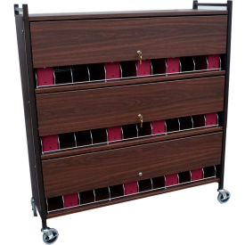 Large Vertical Cabinet Chart Rack with Locking Panel, 36 Binder Capacity, Woodgrain.