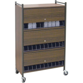Standard Vertical Cabinet Chart Rack with Locking Panel, 30 Binder Capacity, Woodgrain